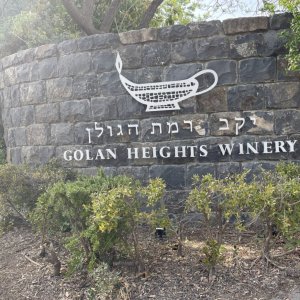 accessible-israel-2022-31
