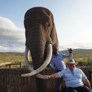 South African Safari 2018